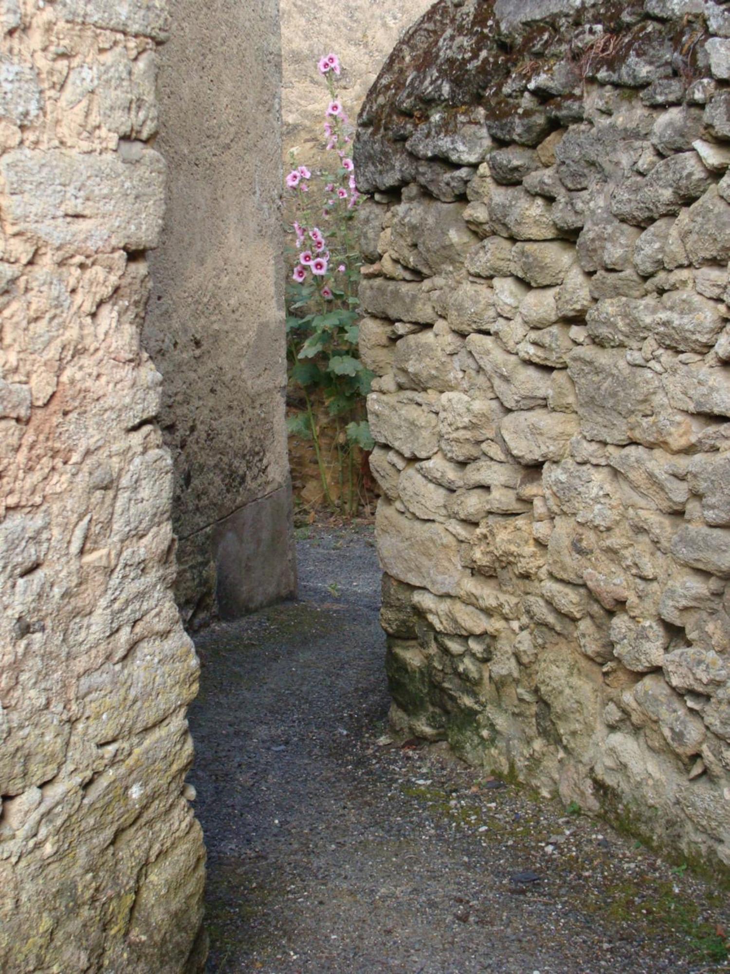 Gite Cote Ruelle Martigne-Briand Bagian luar foto